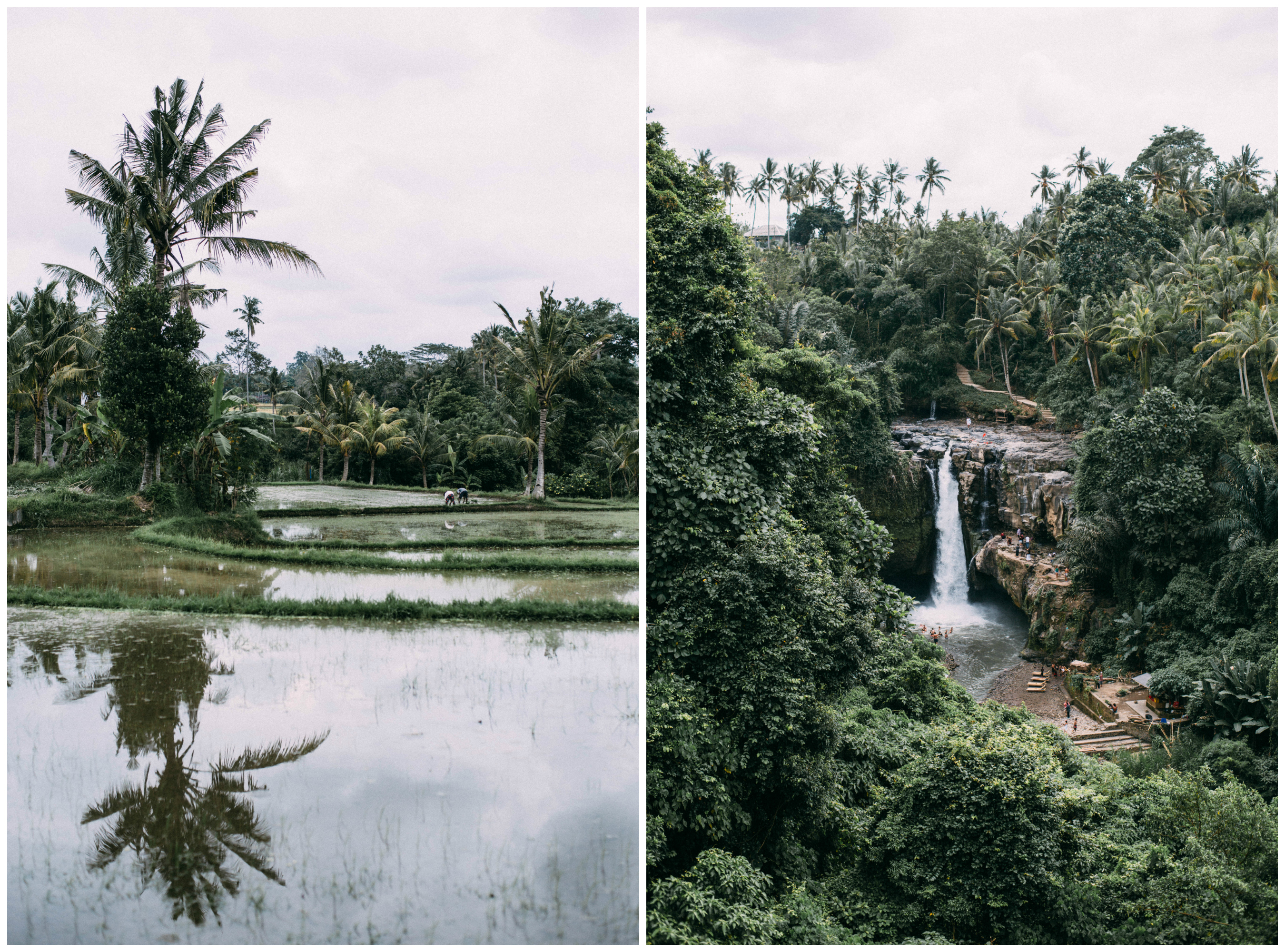 bali_ubud